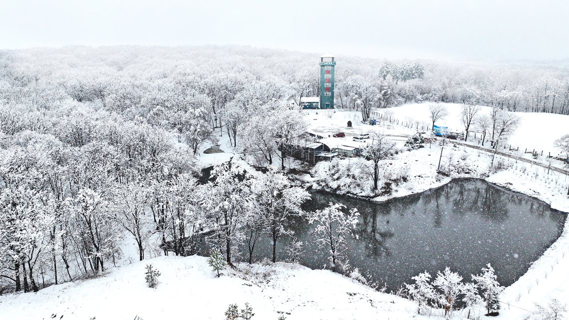 瑞雪吉祥---辛静华