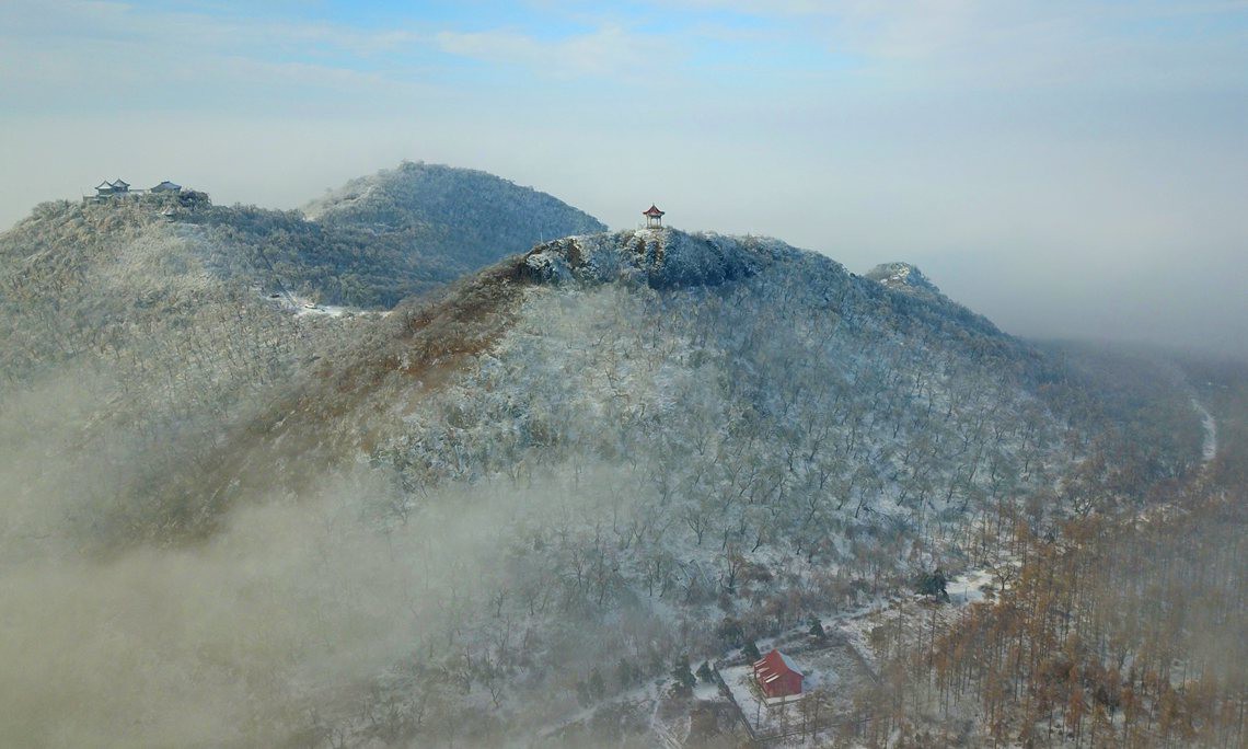 孤山冬韵---老树