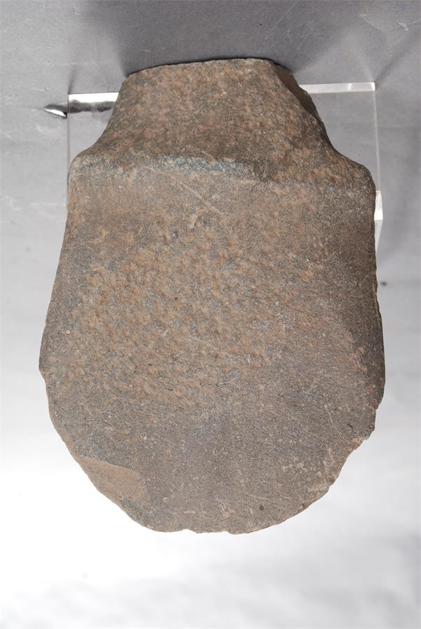 YB2954-A-01.JPG